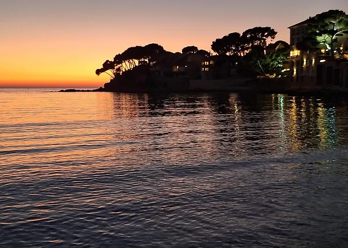 Bandol A Bandol Cha Cha Cha - Appartement