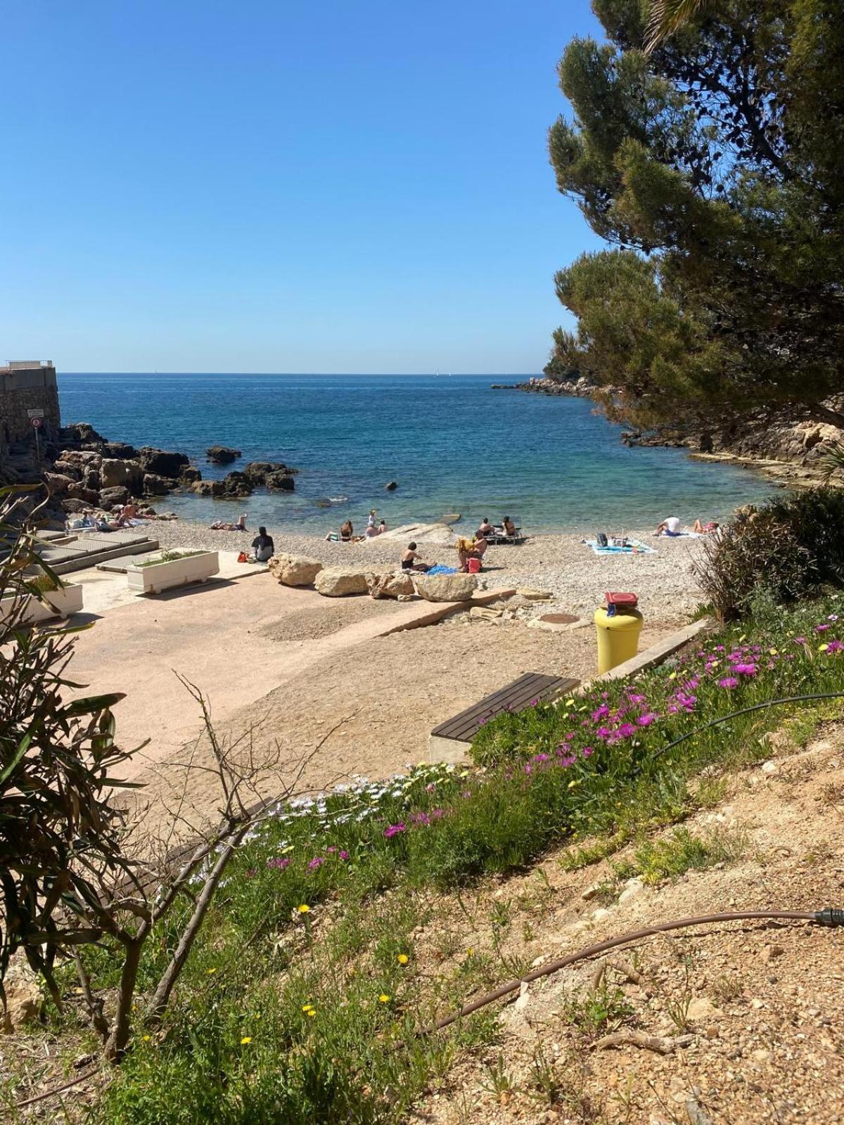 A Cha Cha Cha - * Bandol